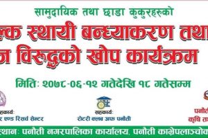 पनौती नगरपालिकाले कुकुरलाई निःशुल्क बन्ध्याकरण तथा रेबिज विरुद्धको खोप लगाउने