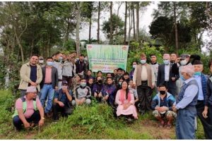 हरितालीका तिजको अवसरमा धुलिखेल ३ मन्डली देवि सामुदायिक वनमा वृक्षारोपण कार्यक्रम